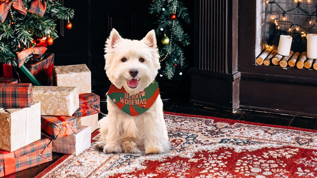 dog bandana holiday gifts for pets