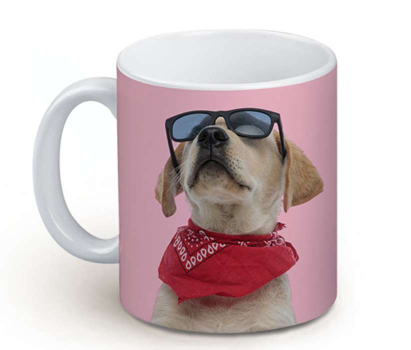 personalised pet photo mug