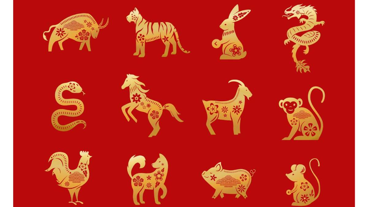 Let’s Delve into the Best 12 Chinese Zodiac Signs