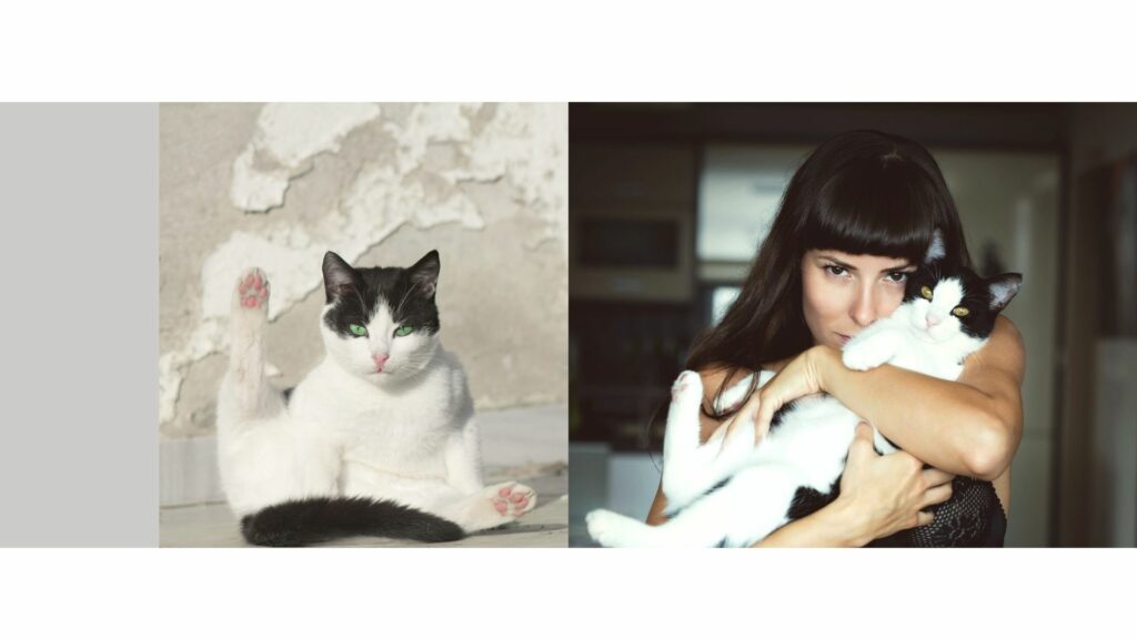 How to Create a Pet Memory Photobook: A Step-by-Step Guide