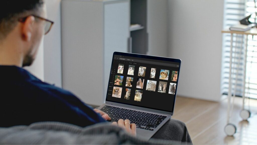 How to Create a Pet Memory Photobook: A Step-by-Step Guide